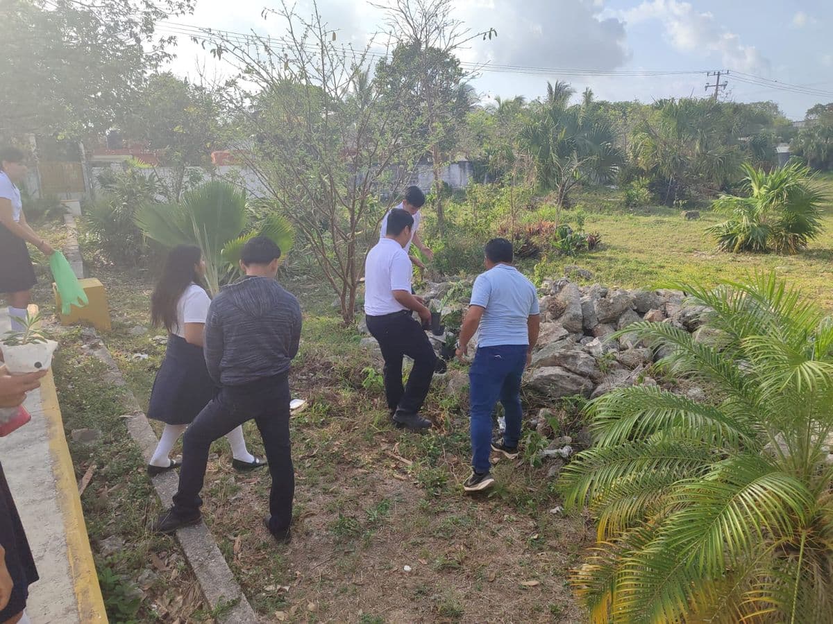 Estudiantes y docentes participando en una jornada de reforestación