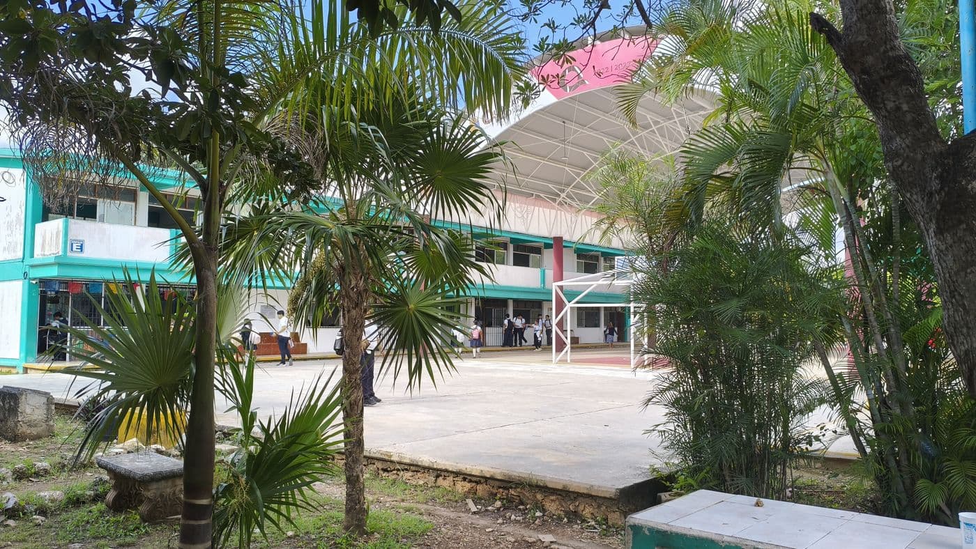 Áreas verdes con palmeras junto al patio y el nuevo domo del plantel